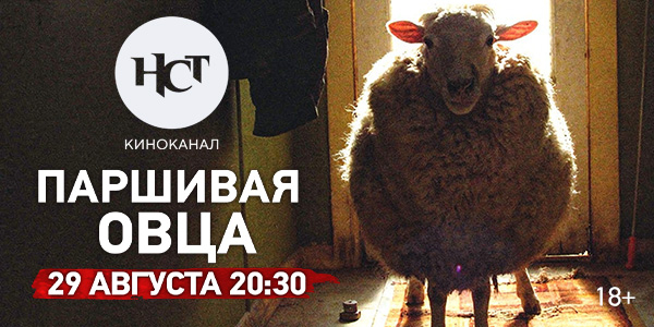 Комедийный хоррор «Паршивая овца» на киноканале «Настоящее Страшное Телевидение»